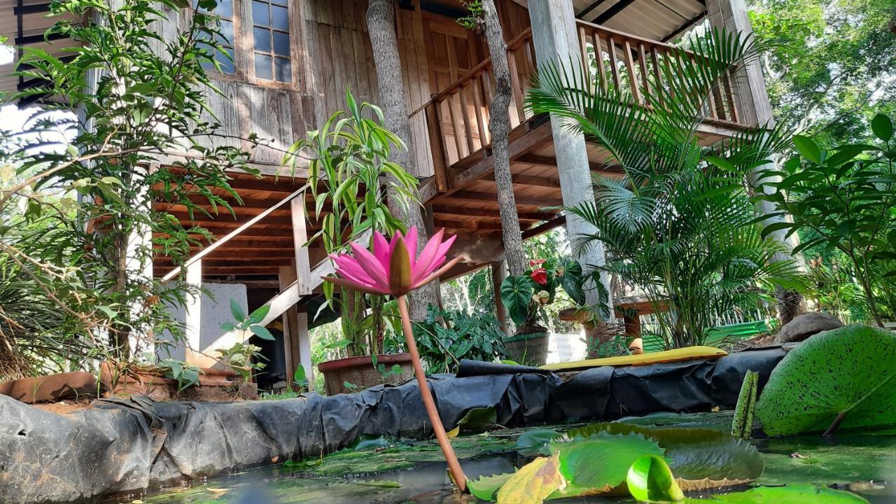 Ruk Sewana Villa Tree House Sigiriya Buitenkant foto