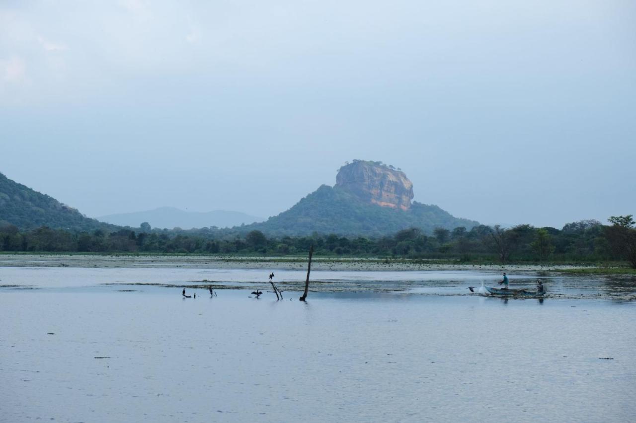 Ruk Sewana Villa Tree House Sigiriya Buitenkant foto