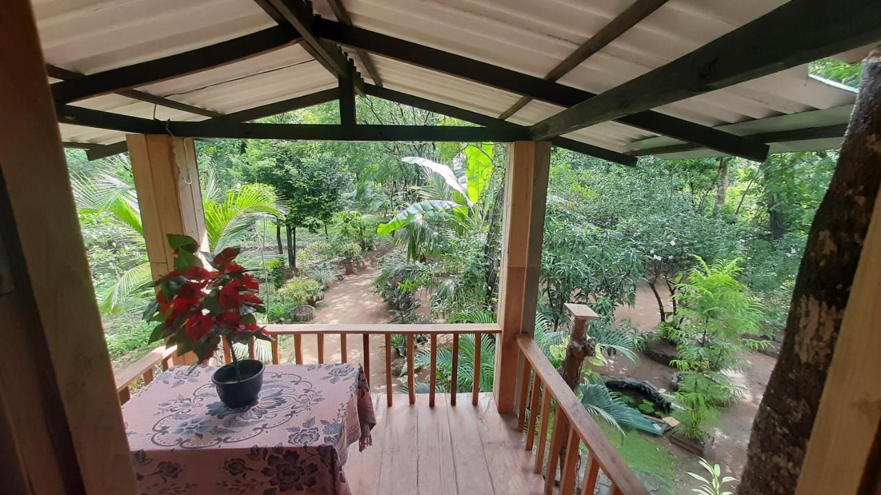 Ruk Sewana Villa Tree House Sigiriya Buitenkant foto